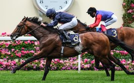 Why the figures dictate to close your eyes and back this horse for the Derby