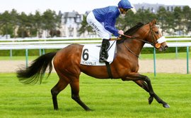 Godolphin’s Profitable favoured to be top first-season sire