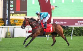 ‘Heavyweight champion of the world’ – Hong Kong star Romantic Warrior reclaims #1 spot on global rankings