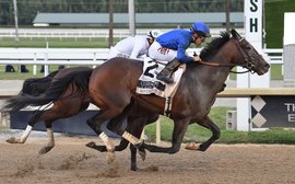 What’s been happening: Florida Derby, Guineas doubts, Fierceness plans, South African uproar and more …