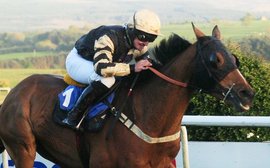 Irish jockey Gallagher is making a comeback - in New Zealand