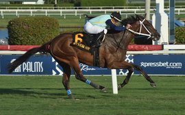 Kentucky Derby Prep School: Authentic looks good – but will he spit out the dummy?