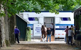 Coast-to-coast in 40 hours: how horse transport nowadays is a case of travelling light