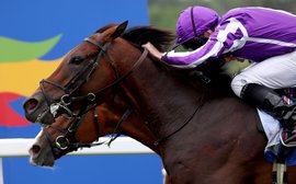 Rankings update: Delacroix redeems himself under ‘masterful ride’ from Ryan Moore