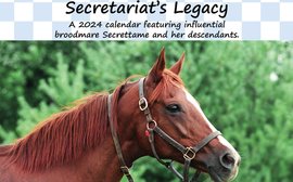 Fund-raising calendar for 2024 honors Secretariat’s daughter Secrettame