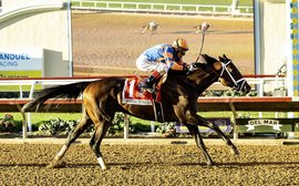 Rankings update: Todd Pletcher back in Top Ten as Fierceness leads impressive G1 haul