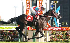 Japan Cup: Contrail looks easily the best, but there are many unanswered questions