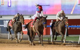 Frankie Dettori fined over whip use on Country Grammer in Dubai World Cup