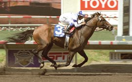 Shooting star with a personal impact: ‘You never forget a horse like Candy Ride’ – Julie Krone