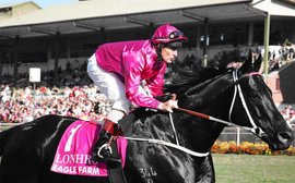 Australian racing mourns as Lonhro, the Black Flash, dies at 25