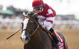 Kentucky Derby Prep School: can Instagrand repay some welcome independent thinking?
