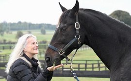 A life after racing: Old Friends welcomes Zenyatta’s son Cozmic One