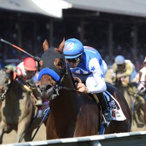 Baffert cementing his legacy as one of racing’s greats  Topics: TRC Global Rankings, Bob 