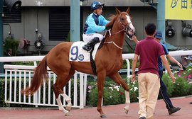 Slim pickings for local jockeys as elite riders jet in for Hong Kong Derby