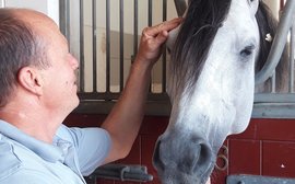 The inspirational story of a trainer who has left everyone in his wake this season