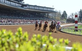 The lessons I learned from working with Keeneland that have stood me in such good stead