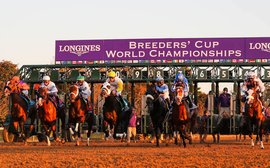 ‘The Breeders’ Cup puts equine safety first and foremost’ – Q+A with Drew Fleming