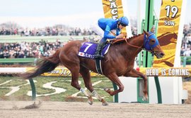 New star Lemon Pop fizzes into world Top 50 with Breeders’ Cup Challenge win in Japan