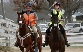 The story of two middle-aged people, two ex-racehorses, a grueling ride across America - and a lot of broken bones