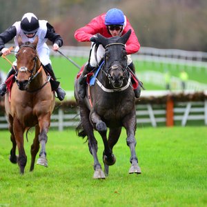 After A Glorious Cheltenham Cheveley Park May Have Yet Another Future Star Waiting In The Wings Topics David And Patricia Thompson Willie Mullins Cheveley Park Stud Thoroughbred Racing Commentary
