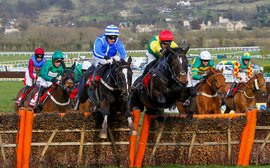 Cheltenham 1-2 for British breeders Newsells Park