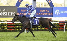 Pride of Australia: the story of how Pride Of Jenni took the racing world by storm