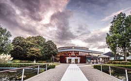 Sale Preview: Goffs February Sale