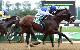 Why Effinex may represent a golden opportunity for New York breeders