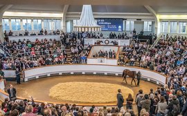 Sale of the centuries: spotlight on Tattersalls, the oldest bloodstock auction house in the world