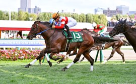 Godolphin star Tower Of London out for revenge in Japan’s final BC qualifier