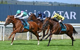 What’s been happening: Field Of Gold lame after Sussex shocker, Trueshan tragedy, Perry Ouzts record and more …