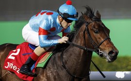 What’s been happening: Dubai latest, big Covid fines in HK, Guineas entries and more …