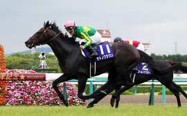 The horse who could help take the Breeders’ Cup to the next level of globalisation