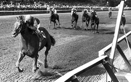 Unforgettable Alydar: remembering one of the true greats