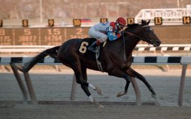 Cigar Mile, Demoiselle, Remsen leave behind rich legacies at the Big A