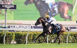 Hong Kong International Races: likely fields revealed for Sha Tin bonanza