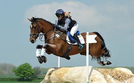 Four exciting developments in the equine world - and four pieces of expert advice