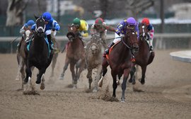 Road to the Kentucky Derby: what did we learn from the Gotham and Tampa Bay?