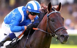 Superstar miler Baaeed set to return in Newbury’s Lockinge Stakes