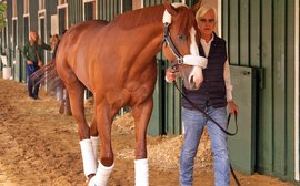 Justify helps Scat Daddy to a place among the world’s great stallions