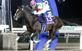 TRC writer Bob Ehalt wins NYRA’s Joe Hirsch award