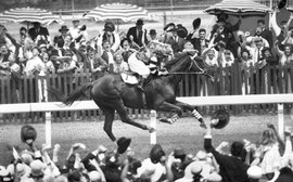 History of Horse Racing in 100 Objects: The word made flesh – the heart of Phar Lap (and Secretariat)