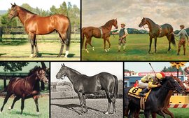 Who’s the daddy? Top ten greatest sires of the last 100 years (part one)