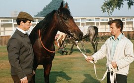 What’s been happening: Racing mourns Ian Balding and Diane Crump – plus news on Forever Young and Frankie Dettori