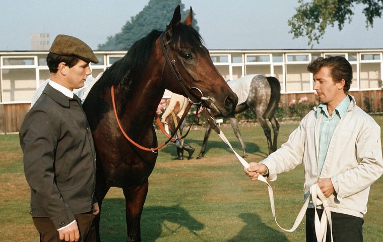 What’s been happening: Racing mourns Ian Balding and Diane Crump – plus news on Forever Young and Frankie Dettori