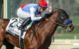 What’s been happening: Kentucky Derby favorite Barnes, Opera Ballo, Smarty Jones and more …