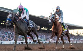Chrome or Arrogate: Who is your Horse of the Year?