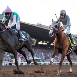 Chrome or Arrogate: Who is your Horse of the Year?  Topics: Arrogate, California Chrome 