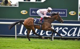 Cracksman and So Mi Dar head Gosden’s powerful York team