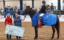 A life after racing: the Thoroughbred Makeover – get ready for the world’s largest racehorse retraining competition